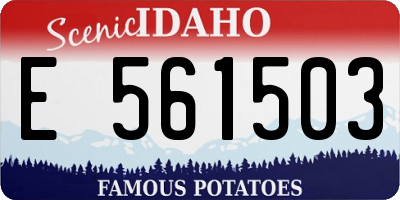 ID license plate E561503