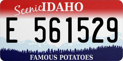 ID license plate E561529