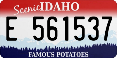 ID license plate E561537