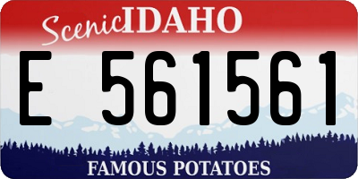 ID license plate E561561