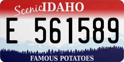 ID license plate E561589