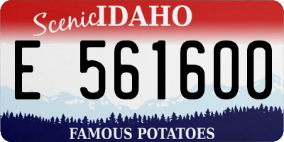 ID license plate E561600