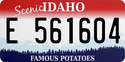 ID license plate E561604