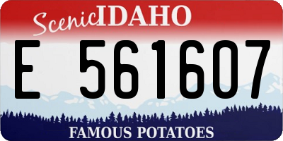 ID license plate E561607