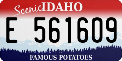 ID license plate E561609