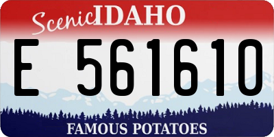 ID license plate E561610