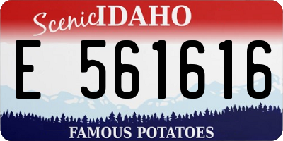 ID license plate E561616