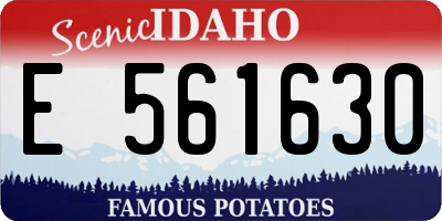 ID license plate E561630