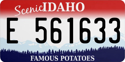 ID license plate E561633