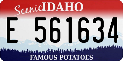 ID license plate E561634