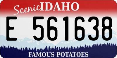 ID license plate E561638