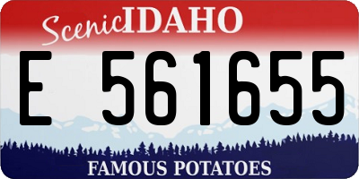 ID license plate E561655