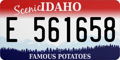 ID license plate E561658