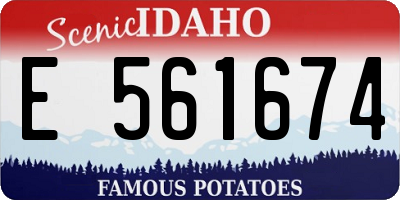 ID license plate E561674