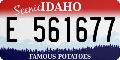 ID license plate E561677