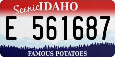 ID license plate E561687