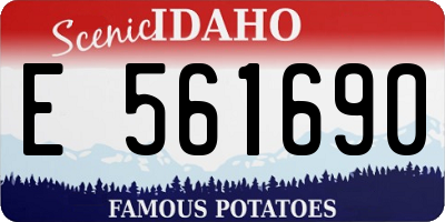 ID license plate E561690