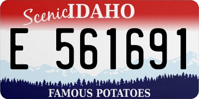 ID license plate E561691