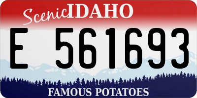 ID license plate E561693