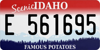 ID license plate E561695