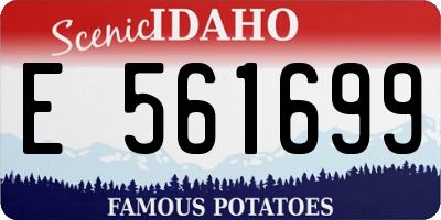 ID license plate E561699