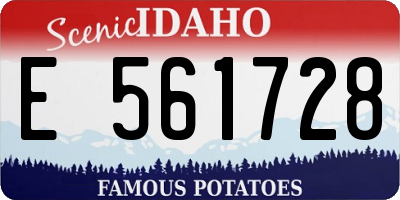 ID license plate E561728