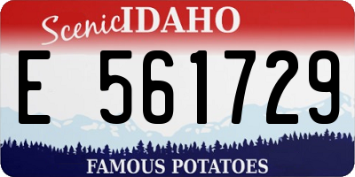 ID license plate E561729