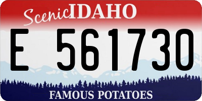 ID license plate E561730