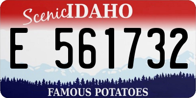 ID license plate E561732