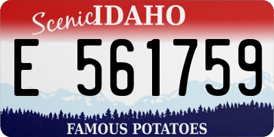 ID license plate E561759