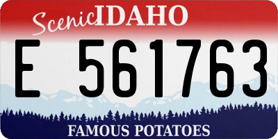 ID license plate E561763