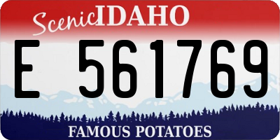 ID license plate E561769