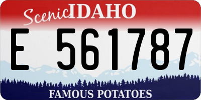 ID license plate E561787