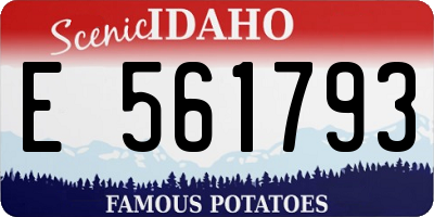 ID license plate E561793