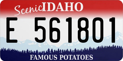 ID license plate E561801