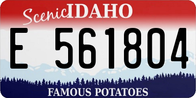 ID license plate E561804