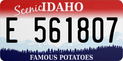 ID license plate E561807