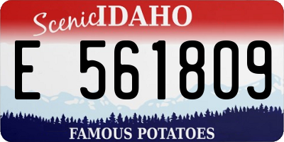 ID license plate E561809