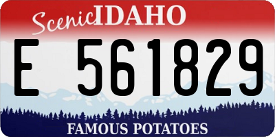 ID license plate E561829