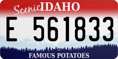 ID license plate E561833