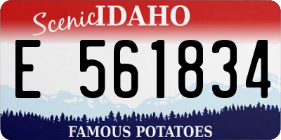 ID license plate E561834