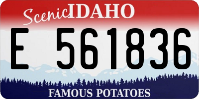 ID license plate E561836