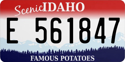 ID license plate E561847