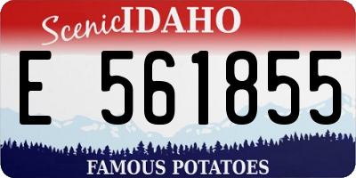 ID license plate E561855
