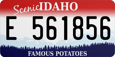 ID license plate E561856