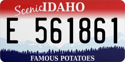 ID license plate E561861