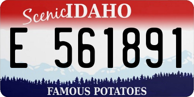 ID license plate E561891