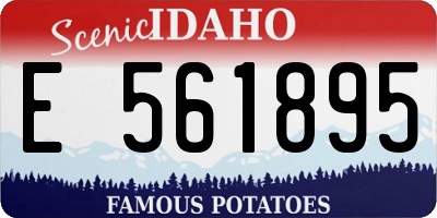 ID license plate E561895