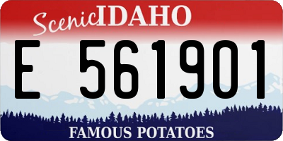 ID license plate E561901