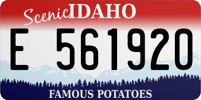 ID license plate E561920